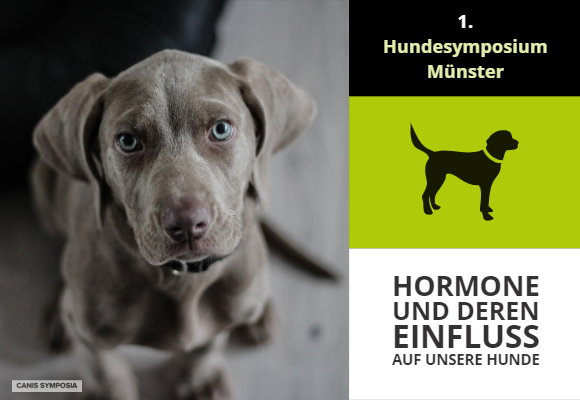 Münster Hundesymposium Münster Hundesymposium