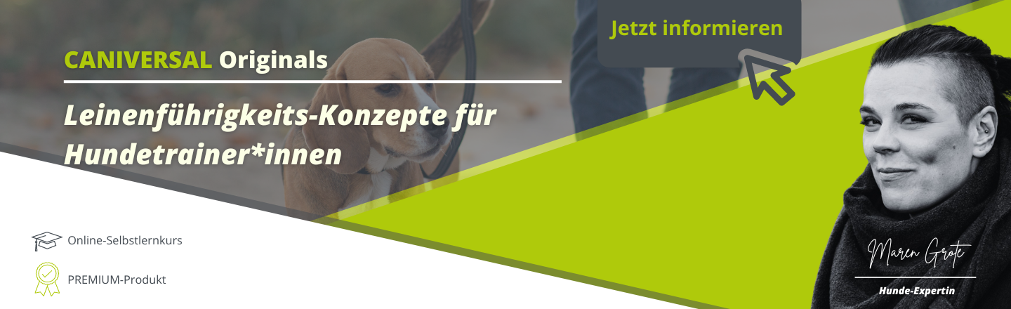 Maren Grote - Leinenführigkeits-Konzepte für Hundetrainer*innen