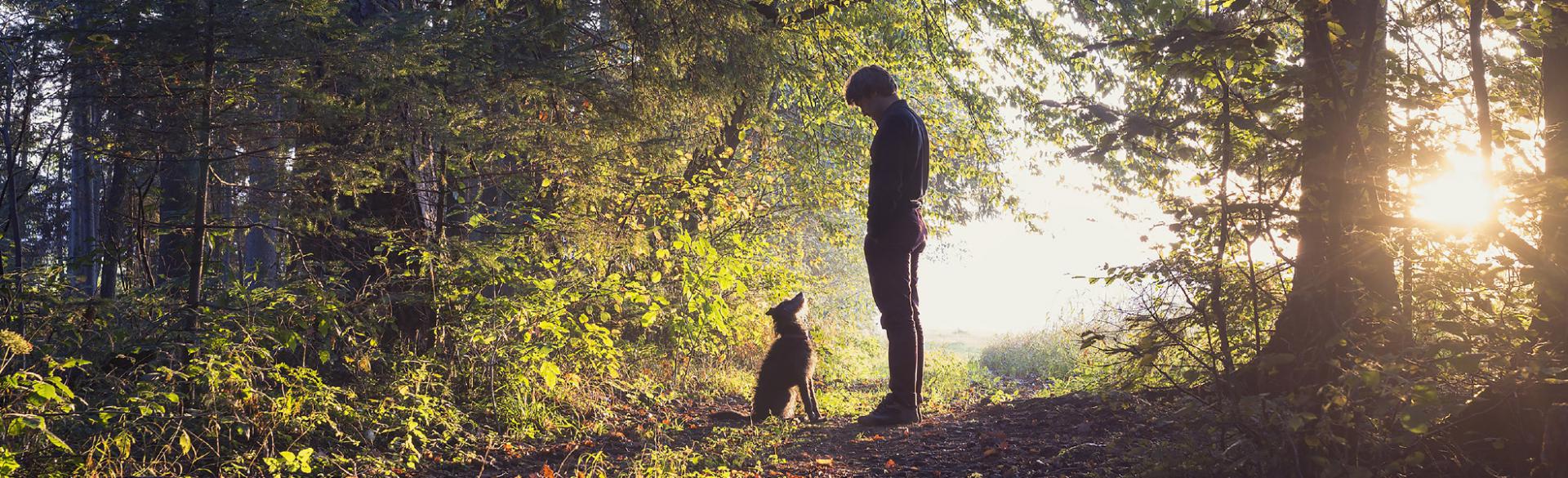 Unsere Partner - Freunde aus der Welt des Hundes und darüber hinaus